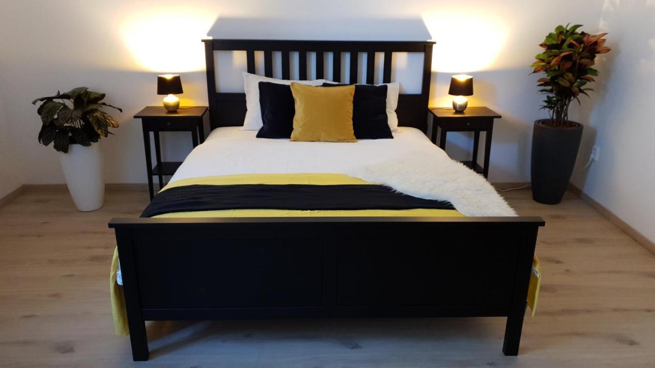 Le Monde Apartment Bratislava - Amazing 5Bdr In Downtown Екстер'єр фото